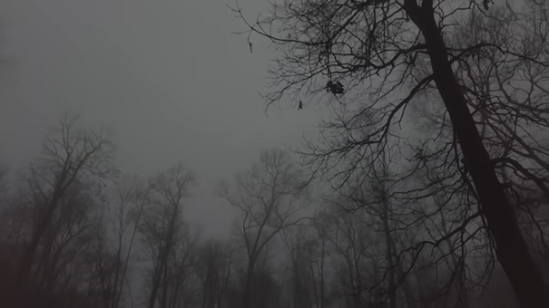 Ein Bericht über die Musik von ECM und Manfred Eicher