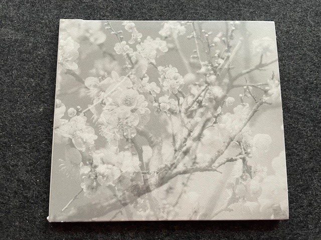 Mein Hörtipp: Masabumi Kikuchi: The final studio Recordings Vol. II